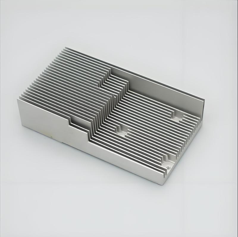 SSD with Heat Sink