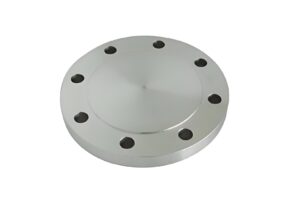 Blind Flange: Essential Guide for Piping and Industrial Use